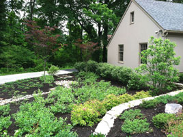 Close-up wall and creek bed