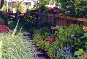Heat and drought tolerant grasses and perennials thrive in this Virginia Beach garden.