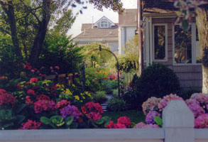 A side yard summer garden with arched entrance, Va. Beach.