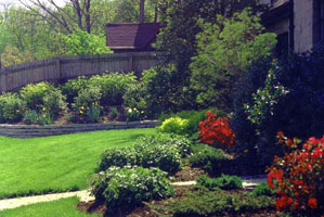 Contrasting textures and color in the foliage adds spark to this layered front entry garden