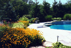 Evergreens, grasses, & continuous color give year round interest around heated pool.